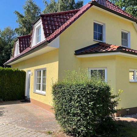 Ferienhaus Strandoase Zingst Ngoại thất bức ảnh
