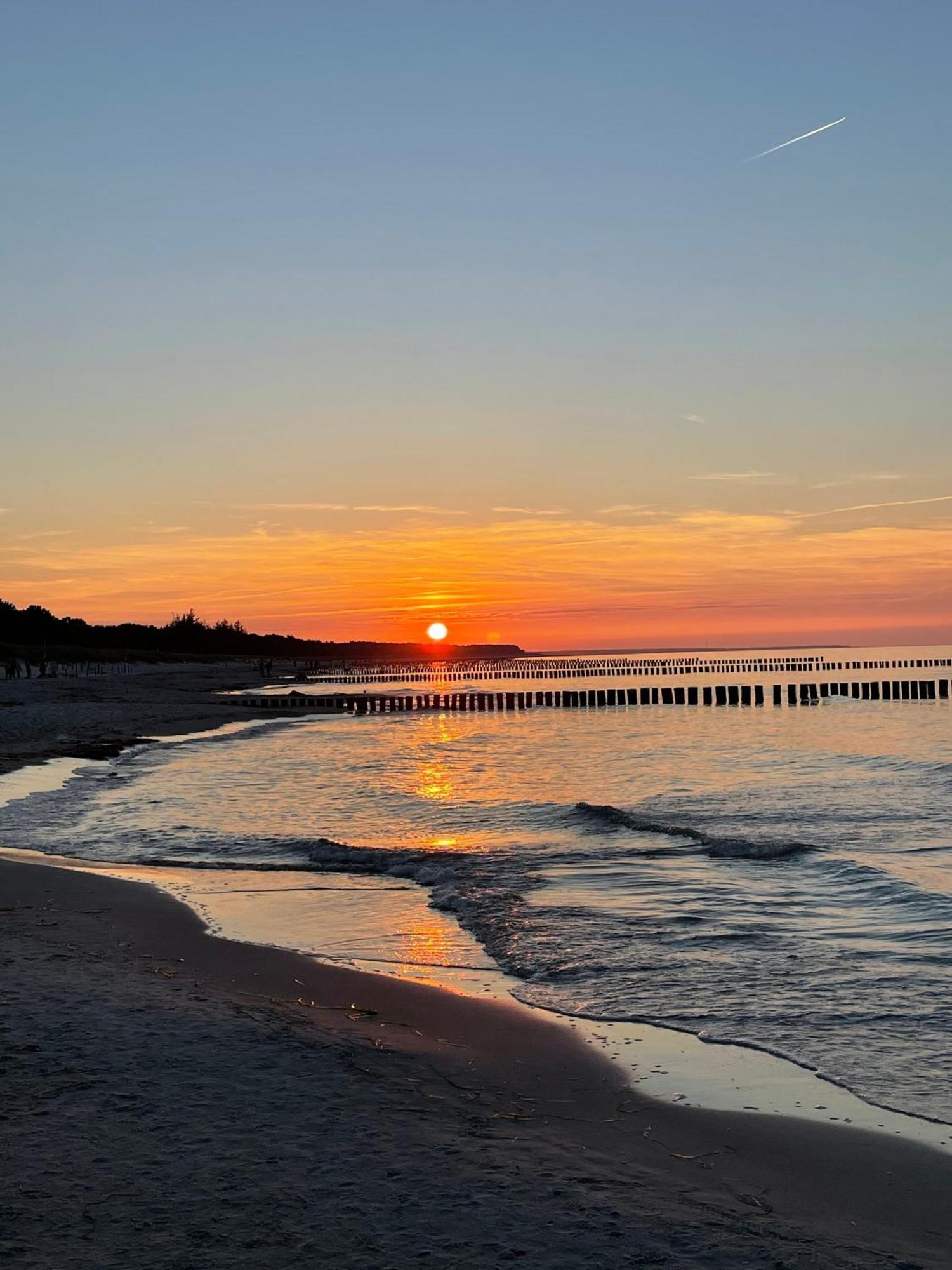 Ferienhaus Strandoase Zingst Ngoại thất bức ảnh