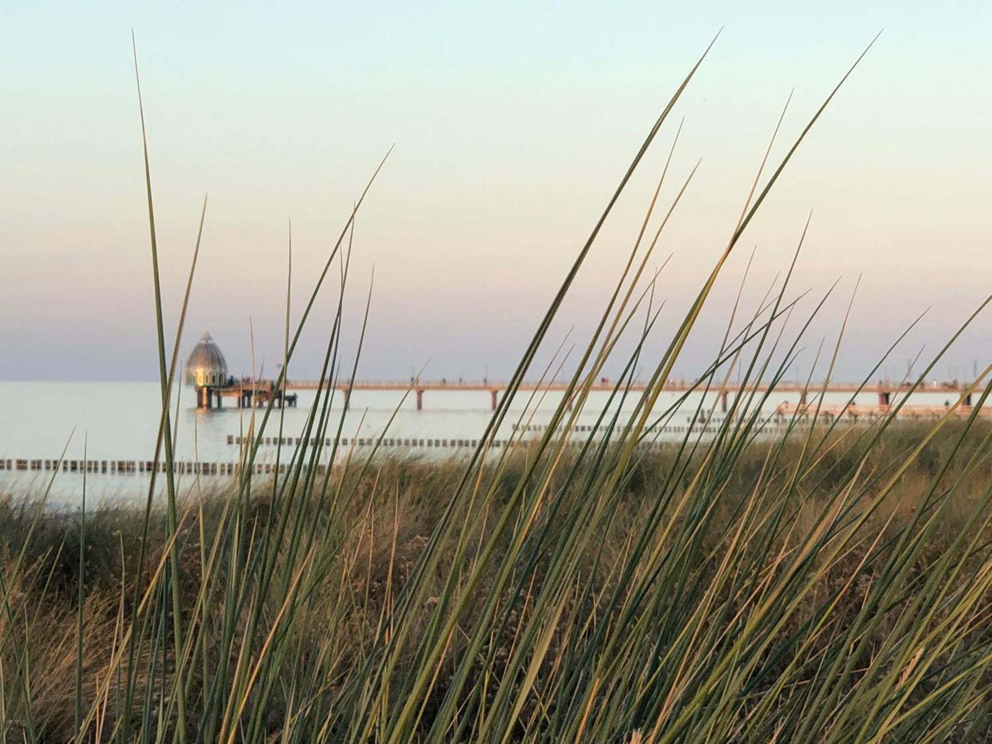 Ferienhaus Strandoase Zingst Ngoại thất bức ảnh